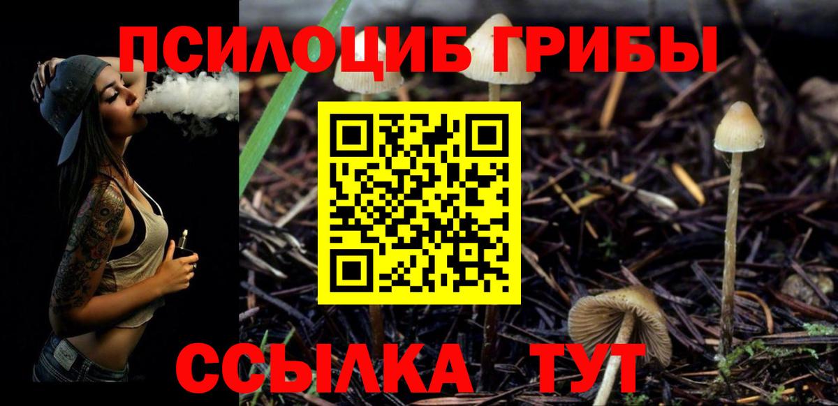 Псилоцибиновые грибы прущие грибы  Вход с VPN  Рыбинск 